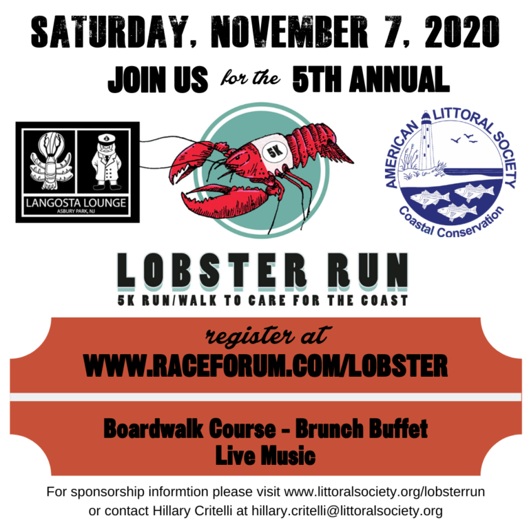 Race into Spring with the 5th Annual Lobster Run