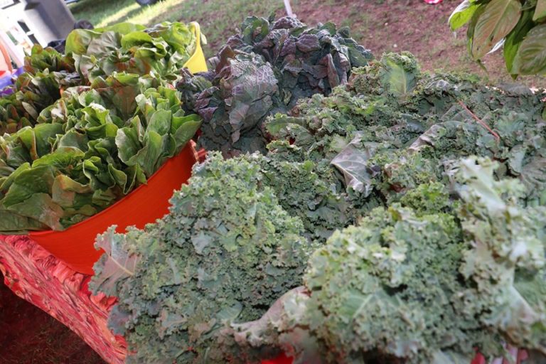 Brick Farmers Market