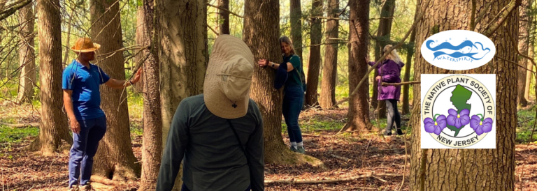 Heart Centered Connections with Nature